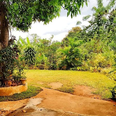 Suisse Villa Kandy Bagian luar foto