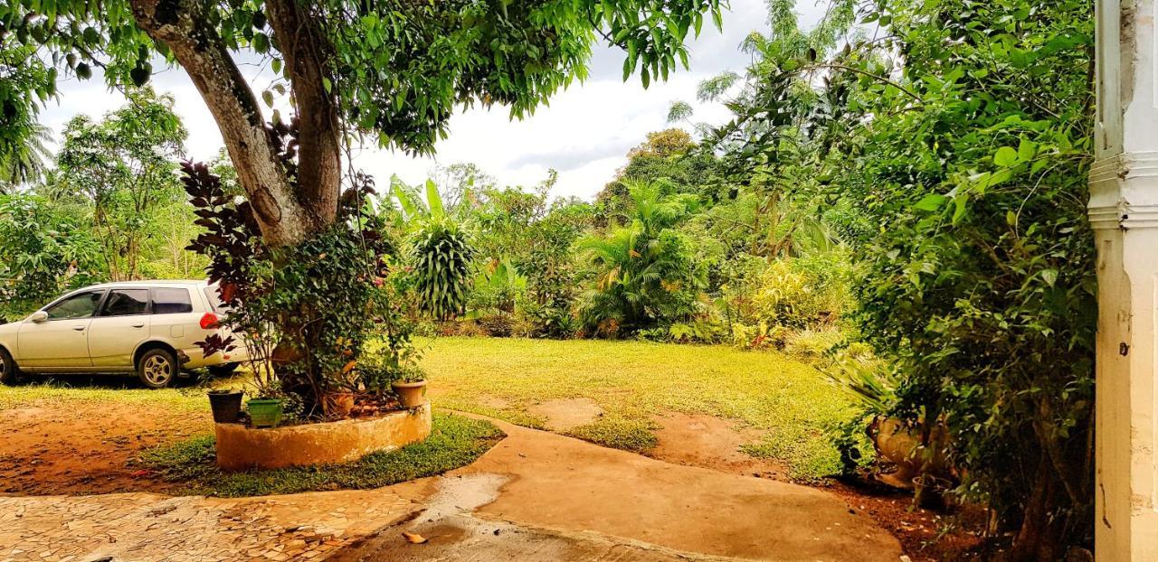 Suisse Villa Kandy Bagian luar foto